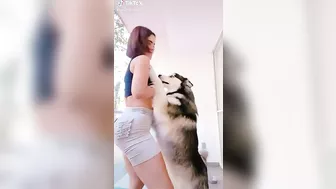 Just love dogs. Specially thicc ones. #3