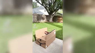 Special Delivery