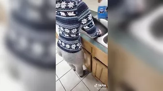 I could watch her scrub the dishes all day long #4