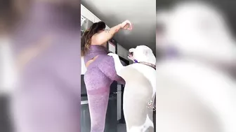 If I was a dog and had sexy ass owner!! ♥️♥️ #3