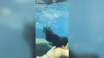 Would dive #2