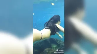 Would dive #3