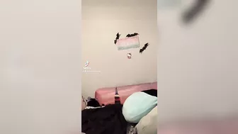 My tiktok got banned for this one lmao, worth it ???????????? BOO-bies