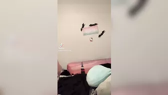 My tiktok got banned for this one lmao, worth it ♥️♥️♥️♥️♥️♥️ BOO-bies #2